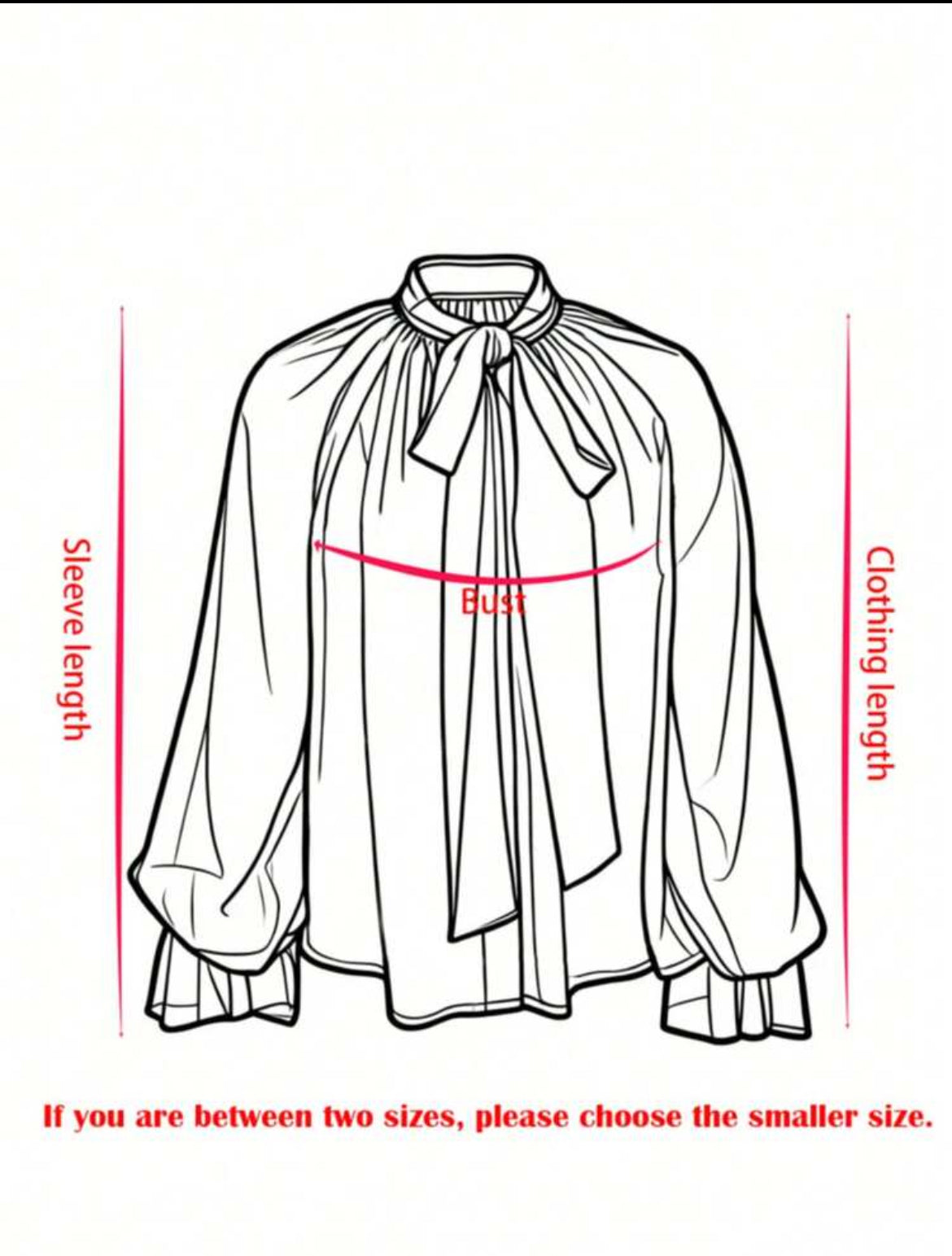 Chiffon Sheer Top