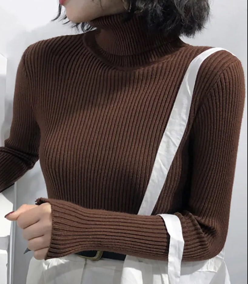 Valentino Turtle neck