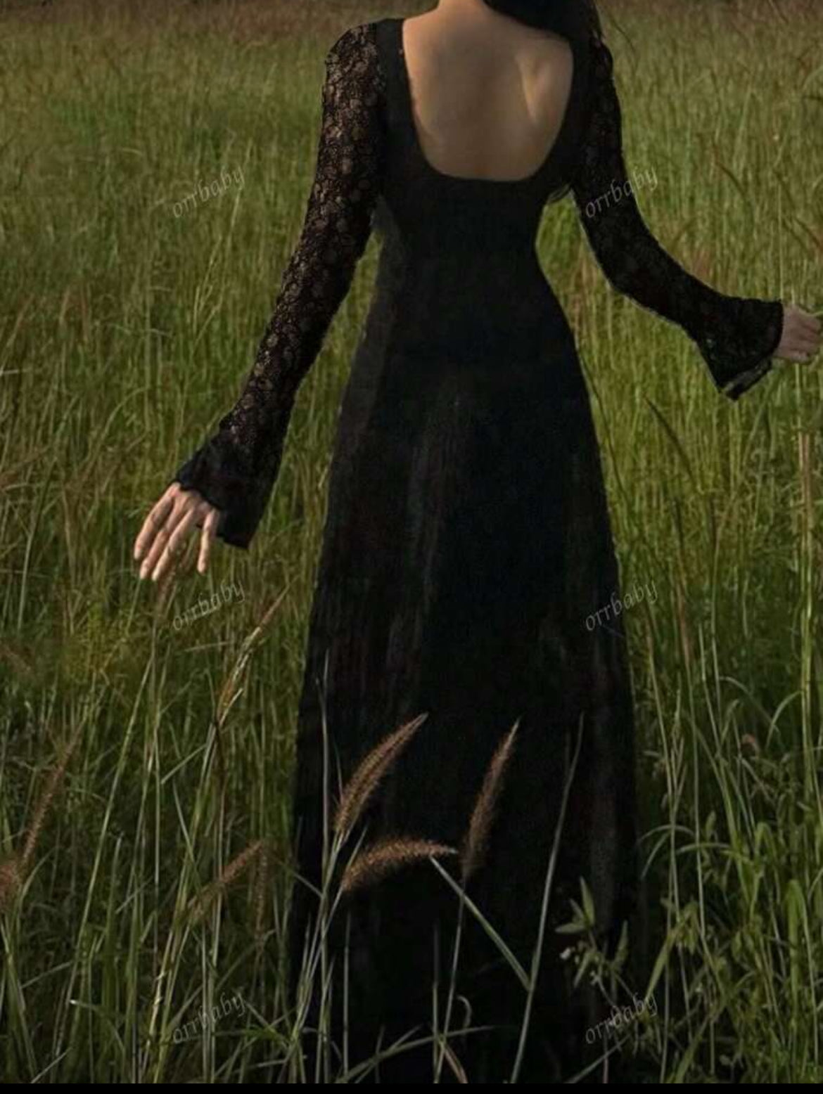 Black Beauty