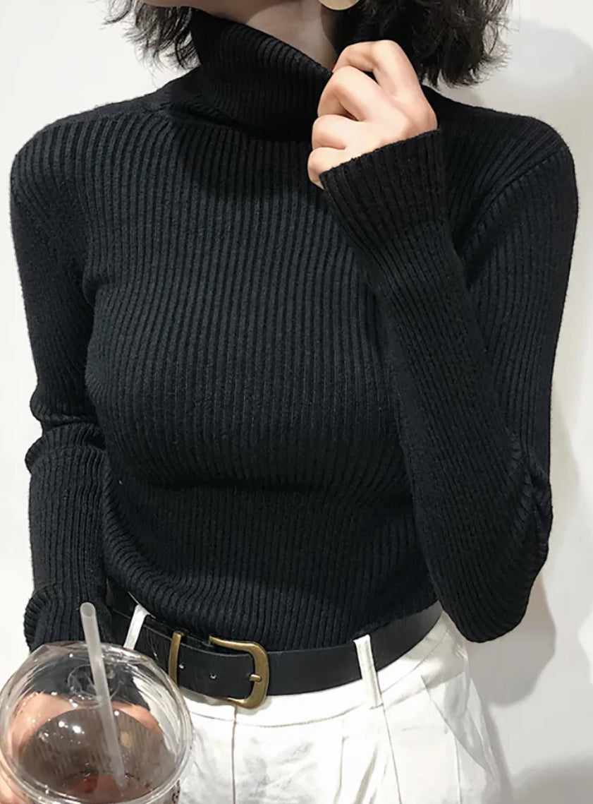 Valentino Turtle neck