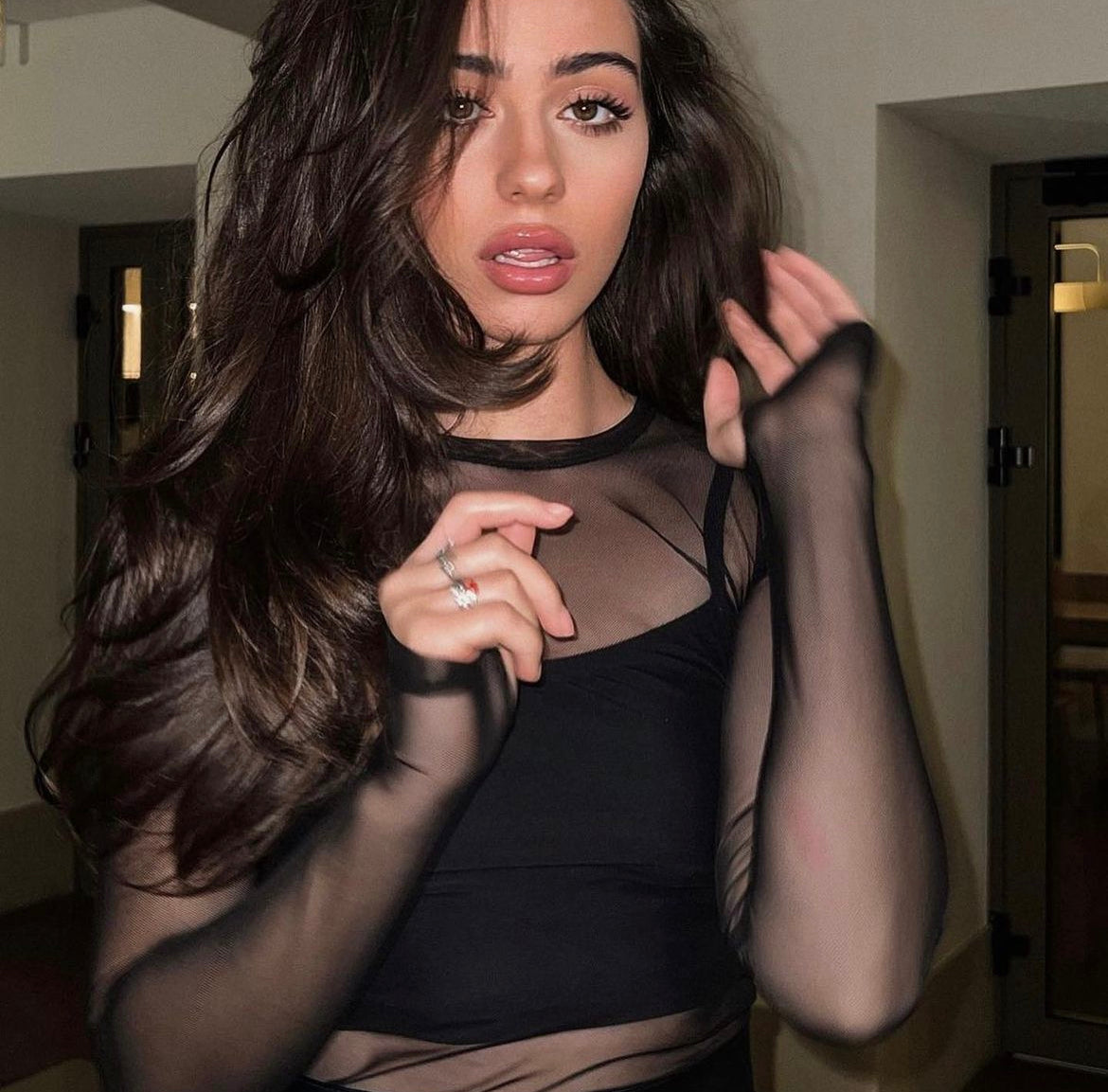 Mesh Black Beauty