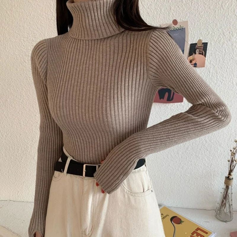 Valentino Turtle neck