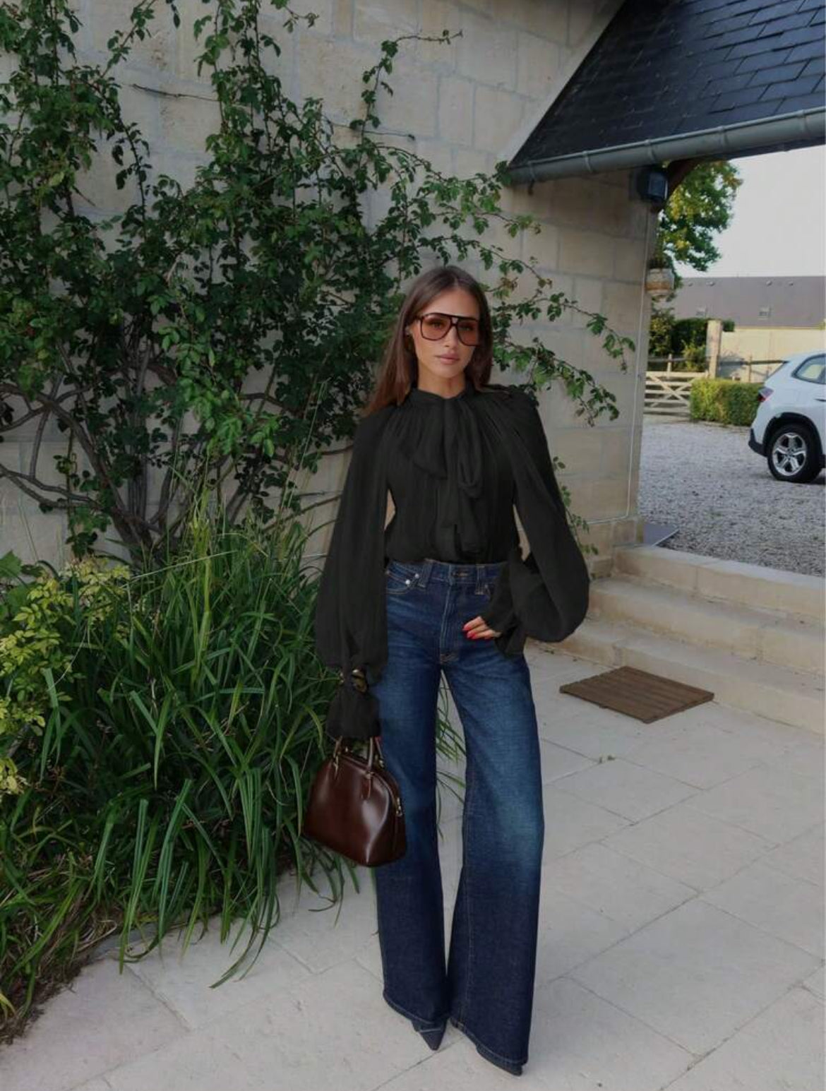 Chiffon Sheer Top