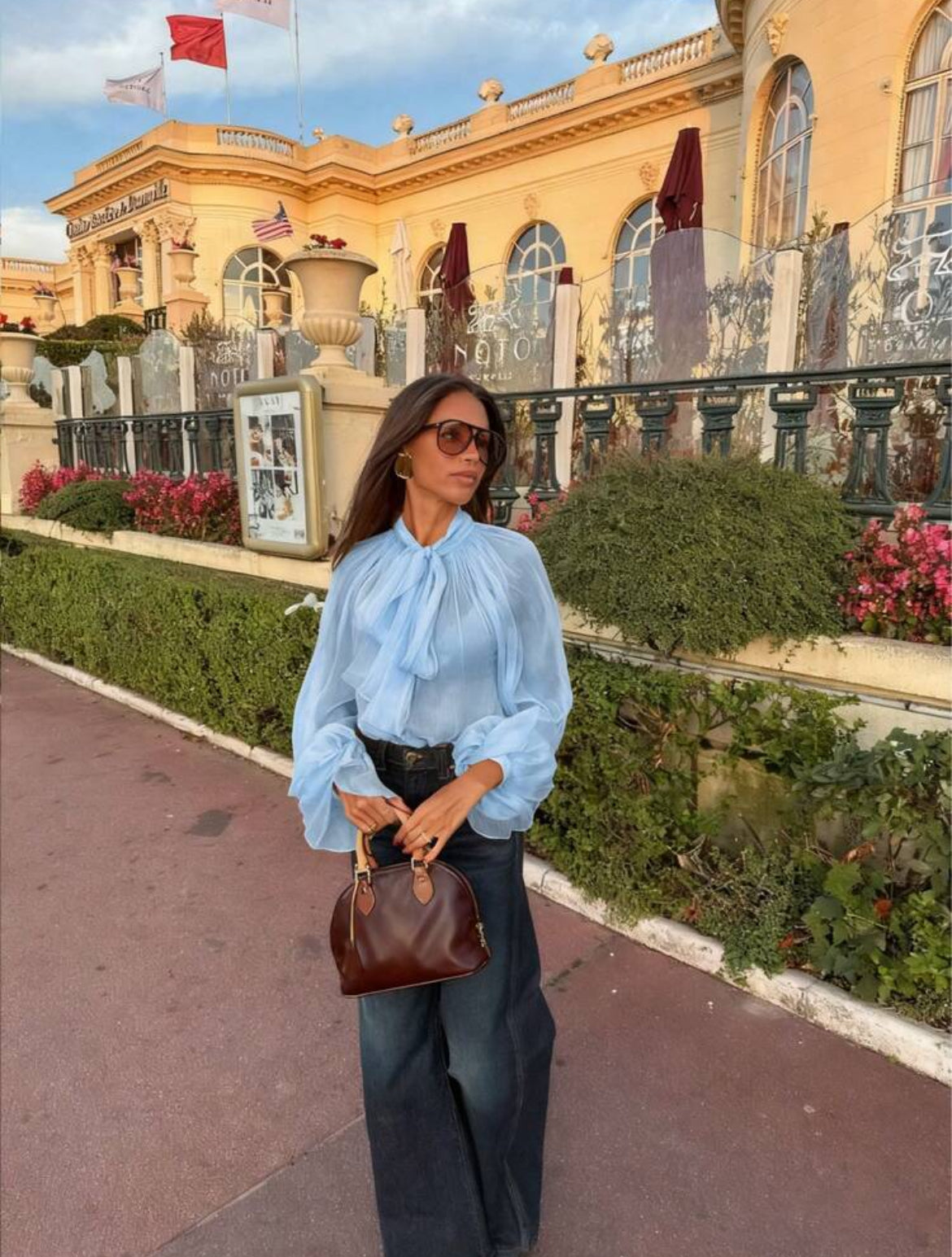 Chiffon Sheer Top