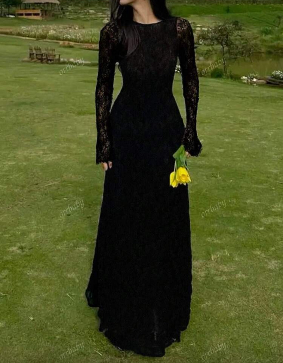 Black Beauty